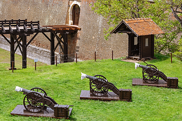 Image showing Fortress Cannons in Alba Carolina Citadel,