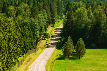 Image showing Rural road in the forest