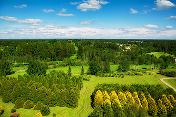 Image showing Various plants and trees in arboretum