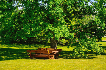 Image showing Big oak on the lawn