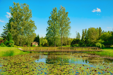 Image showing Bridge over the pond