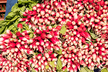Image showing bunch of fresh red radishes on a bio market
