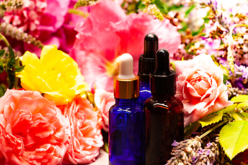 Image showing flowers and bottles of essential oils for aromatherapy