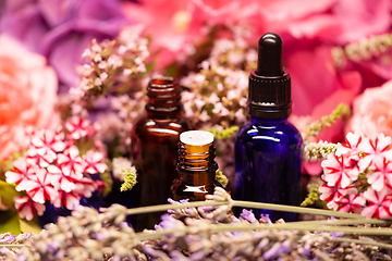 Image showing flowers and bottles of essential oils for aromatherapy