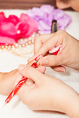 Image showing The esthetician decorates with flowers the nails of the hands of