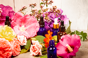 Image showing flowers and bottles of essential oils for aromatherapy