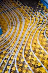 Image showing yellow underfloor heating installation with white pipes