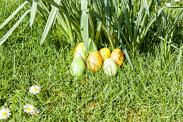 Image showing colored Easter eggs hidden in flowers and grass