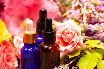 Image showing flowers and bottles of essential oils for aromatherapy