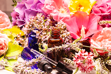 Image showing flowers and bottles of essential oils for aromatherapy