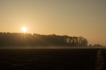 Image showing country landscape in the morning in the mist