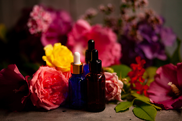 Image showing flowers and bottles of essential oils for aromatherapy