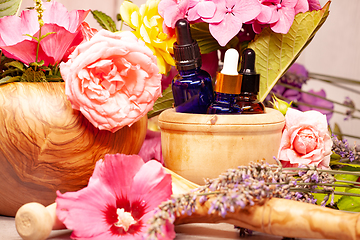 Image showing flowers and bottles of essential oils for aromatherapy