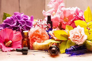 Image showing flowers and bottles of essential oils for aromatherapy