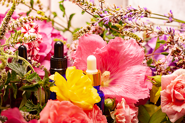 Image showing flowers and bottles of essential oils for aromatherapy