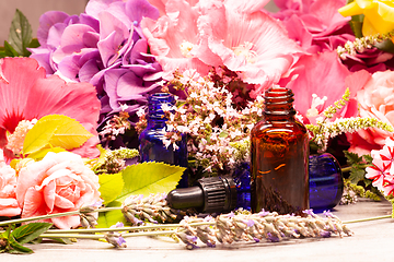 Image showing flowers and bottles of essential oils for aromatherapy