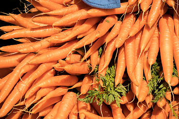 Image showing bunches of fresh carrots on a market stall