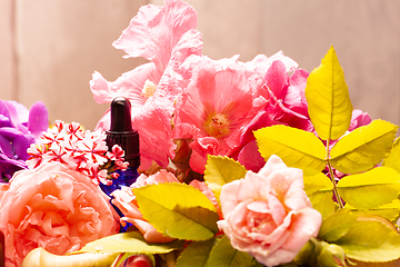 Image showing rose flowers and bottles of essential oils for aromatherapy