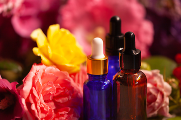 Image showing flowers and bottles of essential oils for aromatherapy