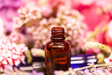 Image showing flowers and bottles of essential oils for aromatherapy