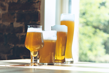 Image showing Glasses of different kinds of beer, time for oktoberfest