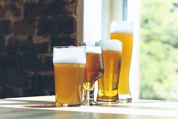 Image showing Glasses of different kinds of beer, time for oktoberfest