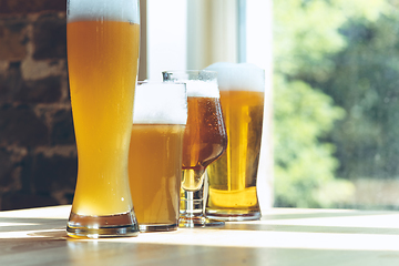 Image showing Glasses of different kinds of beer, time for oktoberfest