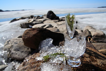 Image showing Glasses with ice