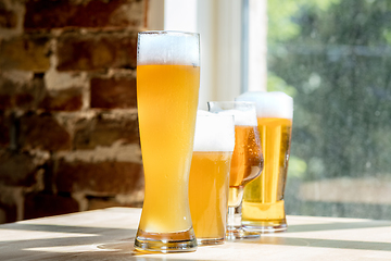 Image showing Glasses of different kinds of beer, time for oktoberfest