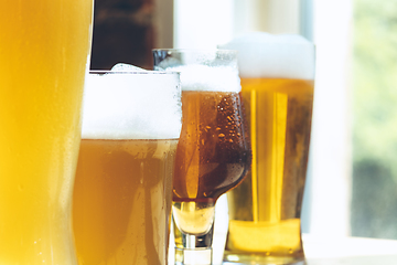 Image showing Glasses of different kinds of beer, time for oktoberfest