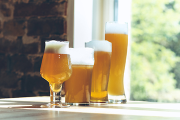 Image showing Glasses of different kinds of beer, time for oktoberfest