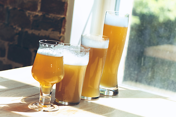 Image showing Glasses of different kinds of beer, time for oktoberfest