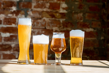 Image showing Glasses of different kinds of beer, time for oktoberfest