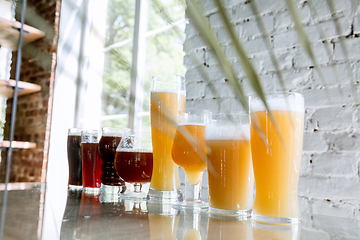 Image showing Glasses of different kinds of beer, time for oktoberfest