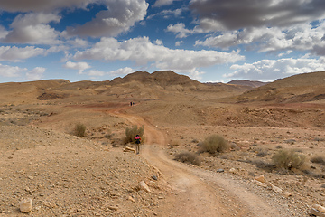 Image showing Trekking in Negev dramatic stone desert, Israel 