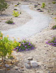 Image showing desert path 