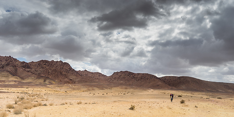 Image showing Trekking in Negev dramatic stone desert, Israel 