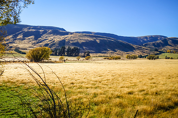 Image showing Mountain fields landscape in New Zealand