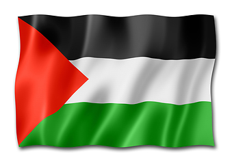Image showing Palestinian flag isolated on white