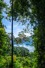 Image showing Cheow Lan Lake jungle landscape, Khao Sok, Thailand