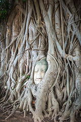 Image showing Buddha Head in Tree Roots, Wat Mahathat, Ayutthaya, Thailand