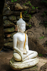 Image showing Buddha statue in jungle, Wat Palad, Chiang Mai, Thailand