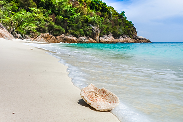 Image showing Coral on a beach, Perhentian Islands, Malaysia
