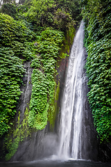 Image showing Red Coral Waterfall, Munduk, Bali, Indonesia