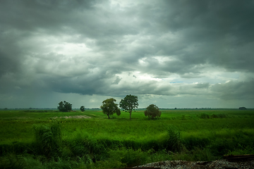 Image showing Field in the storm, Chiang Mai, Thailand