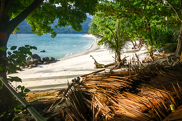 Image showing Tropical beach in Koh Lipe, Thailand