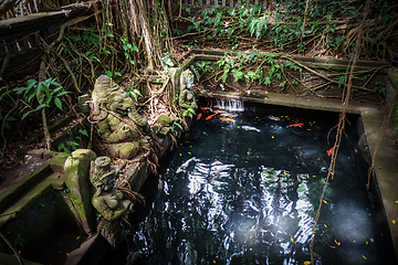 Image showing Ganesh statue near a pond in the Monkey Forest, Ubud, Bali, Indo