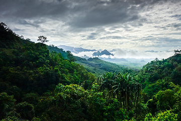 Image showing Khao Sok National Park landscape, Thailand