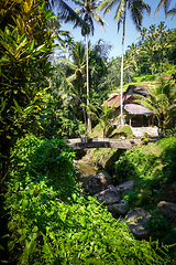 Image showing Bridge in Gunung Kawi temple, Ubud, Bali, Indonesia