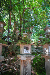 Image showing Kasuga-Taisha Shrine lanterns, Nara, Japan